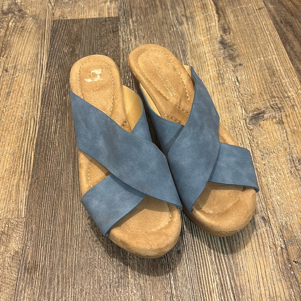 Women’s wedges blue and tan